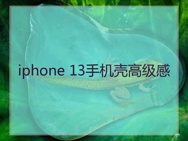 iphone 13手机壳高级感