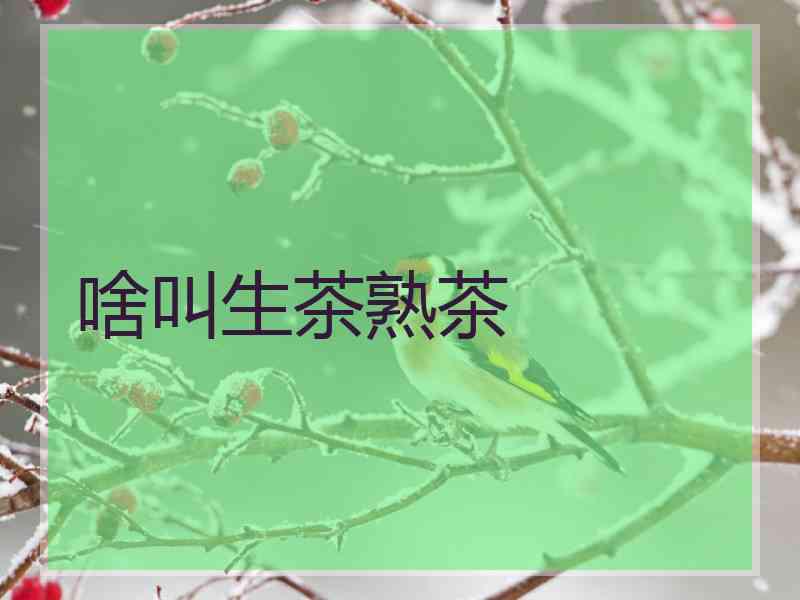 啥叫生茶熟茶