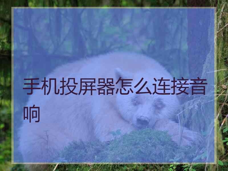 手机投屏器怎么连接音响