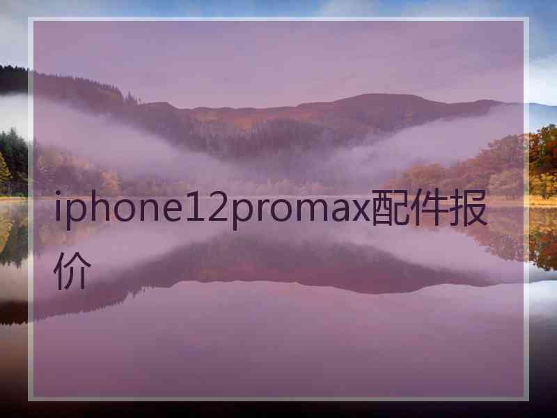 iphone12promax配件报价