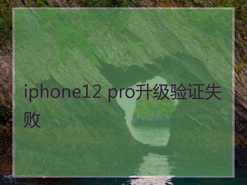 iphone12 pro升级验证失败