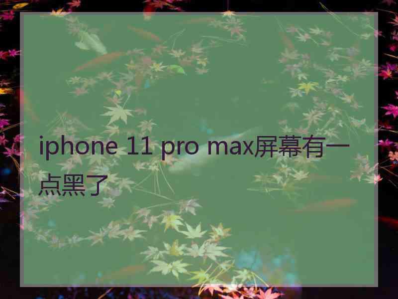 iphone 11 pro max屏幕有一点黑了