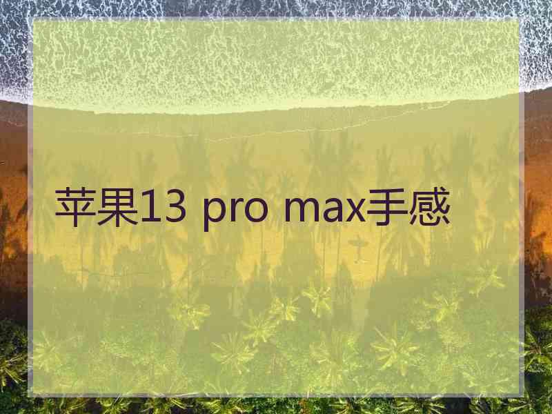 苹果13 pro max手感