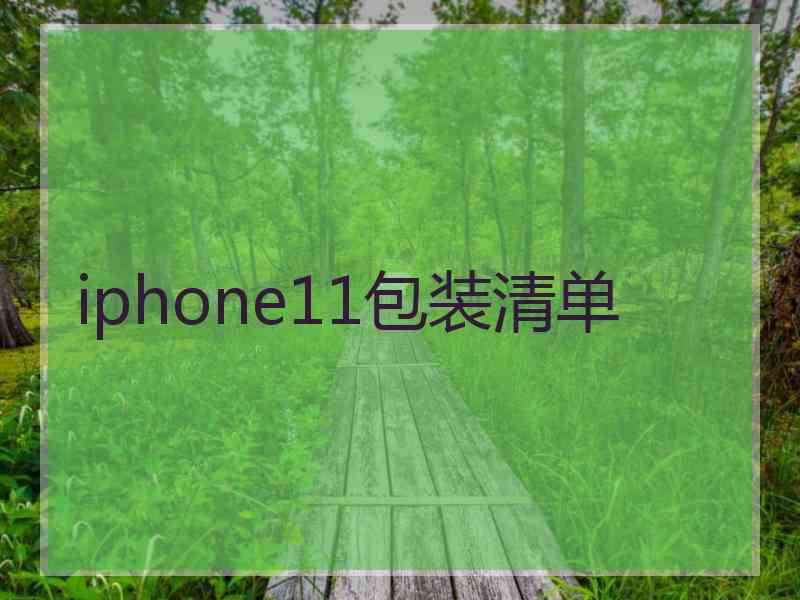 iphone11包装清单