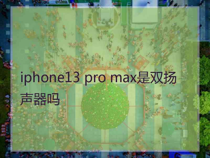 iphone13 pro max是双扬声器吗