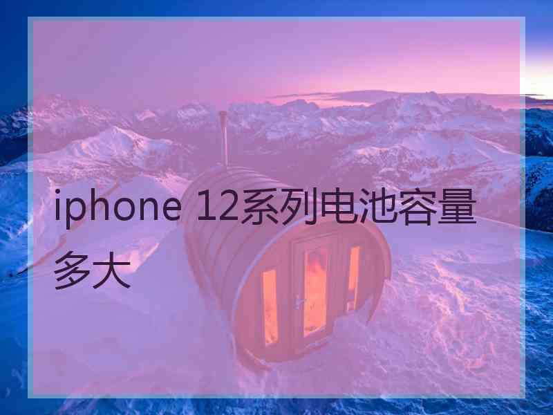 iphone 12系列电池容量多大