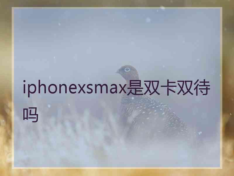 iphonexsmax是双卡双待吗