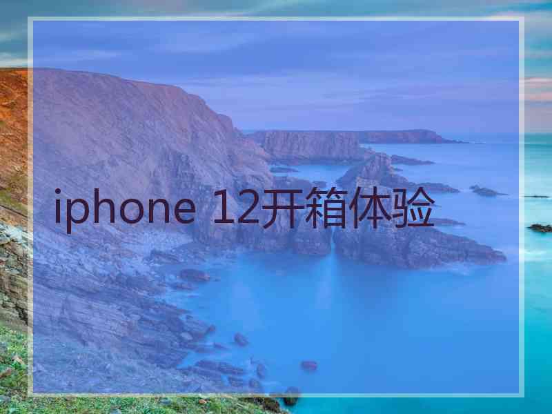 iphone 12开箱体验