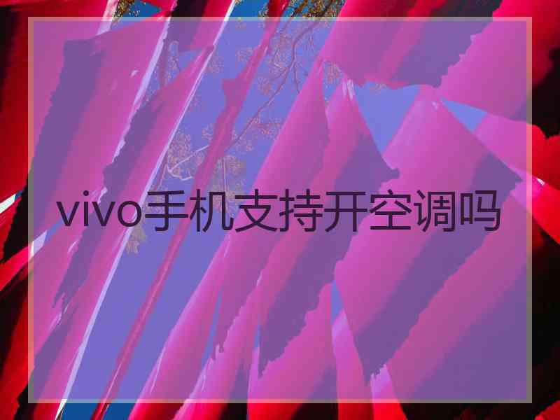 vivo手机支持开空调吗