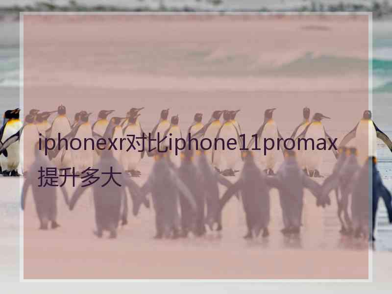 iphonexr对比iphone11promax提升多大