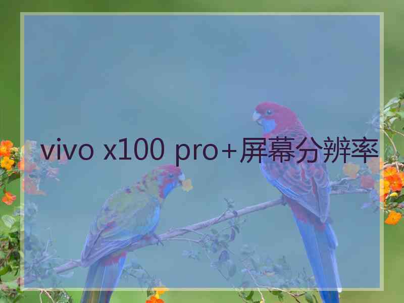 vivo x100 pro+屏幕分辨率