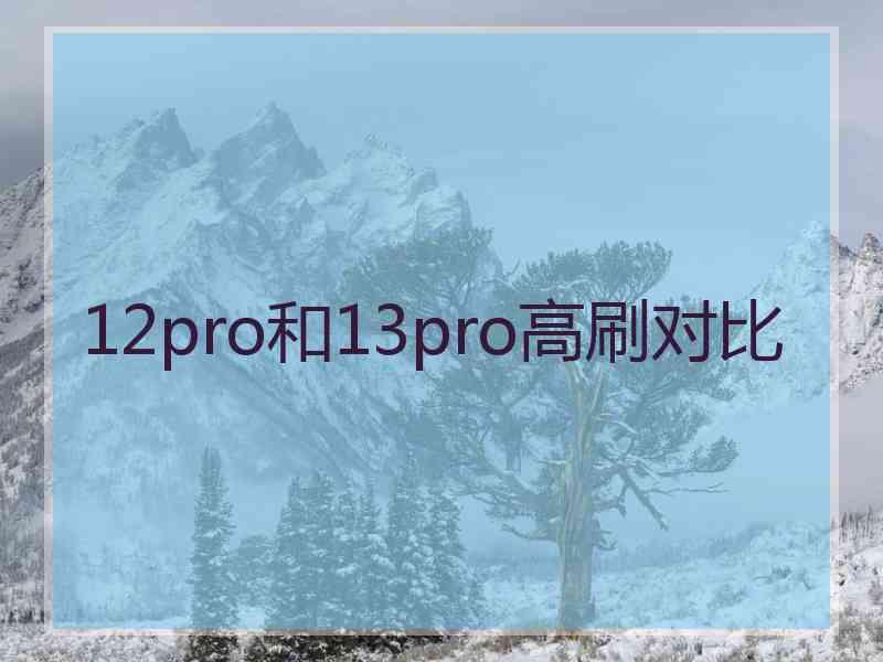 12pro和13pro高刷对比