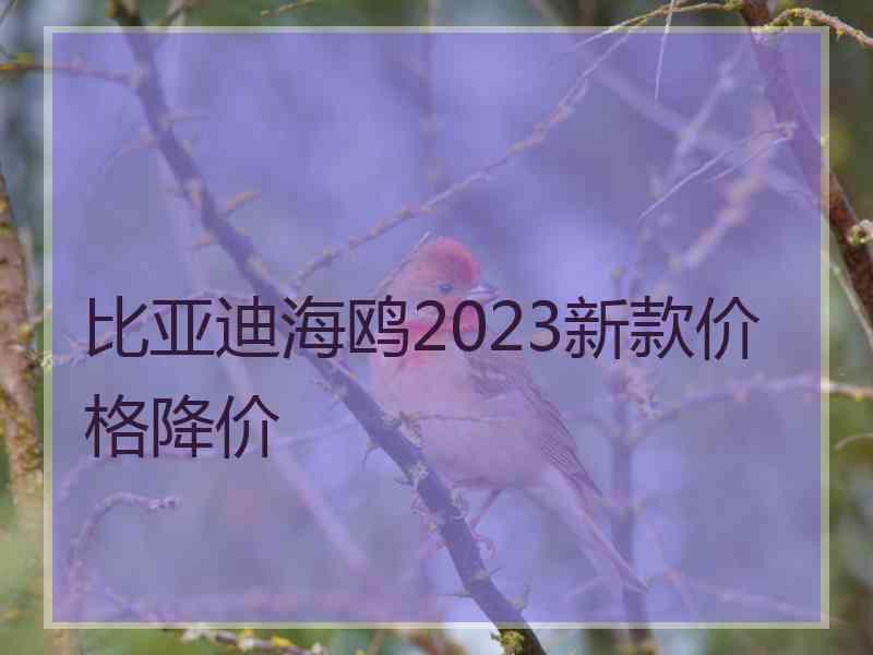 比亚迪海鸥2023新款价格降价