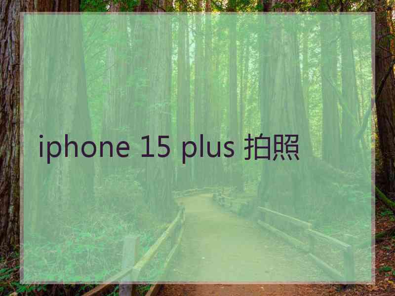 iphone 15 plus 拍照