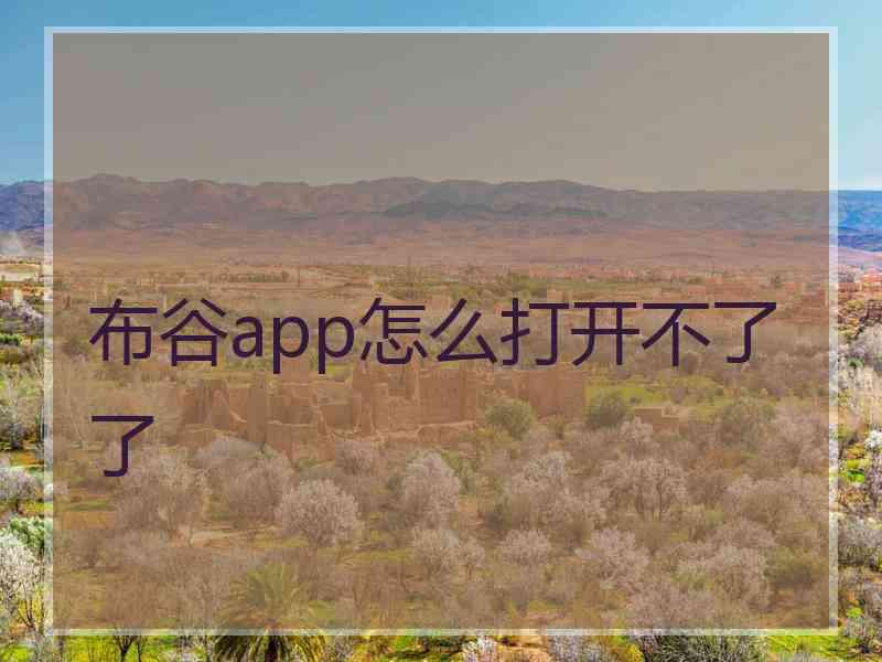 布谷app怎么打开不了了