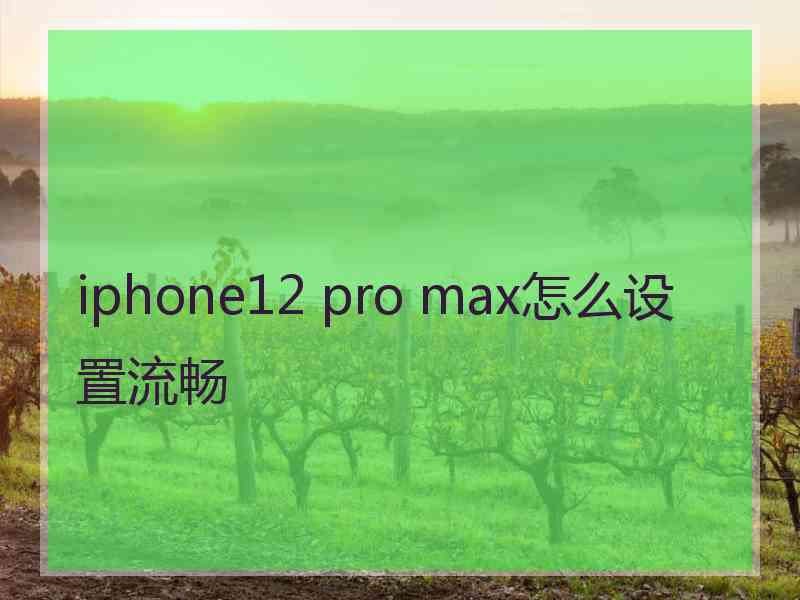 iphone12 pro max怎么设置流畅