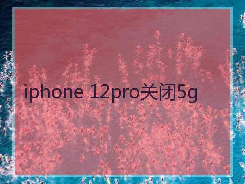 iphone 12pro关闭5g