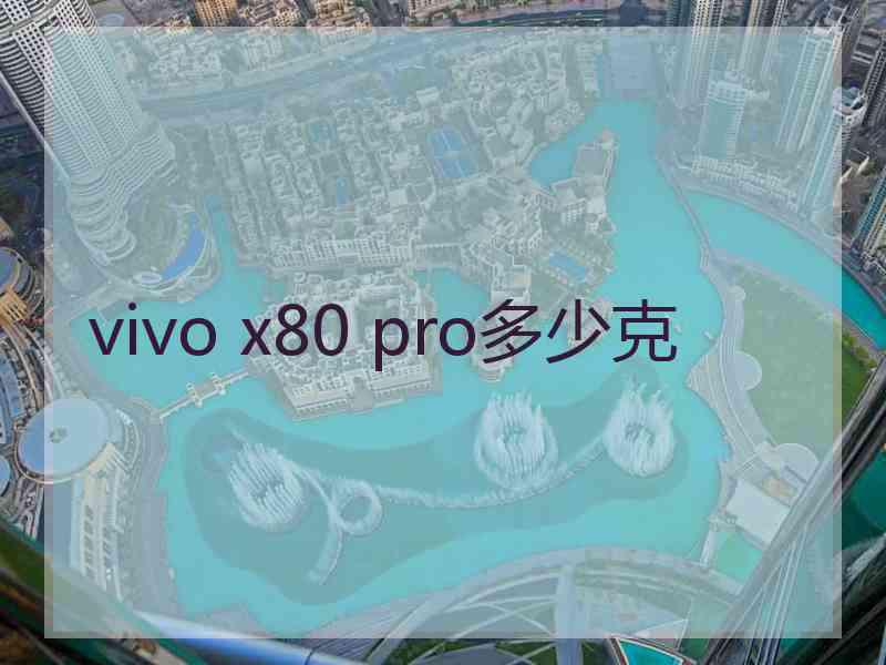 vivo x80 pro多少克