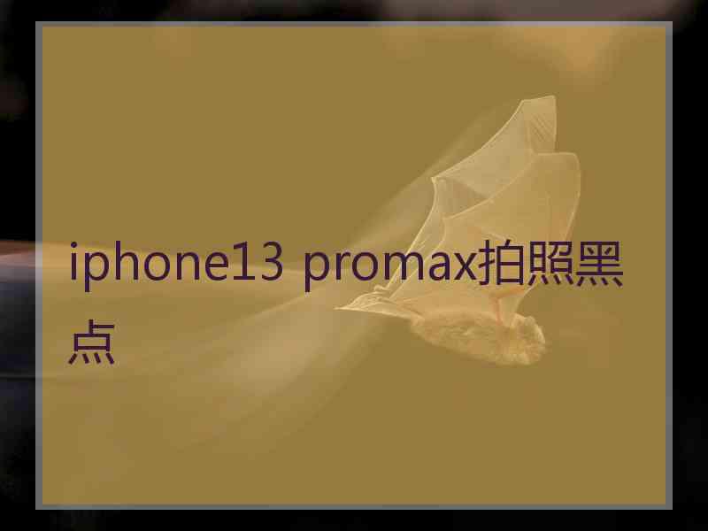 iphone13 promax拍照黑点