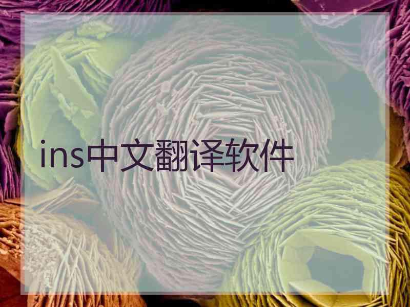 ins中文翻译软件