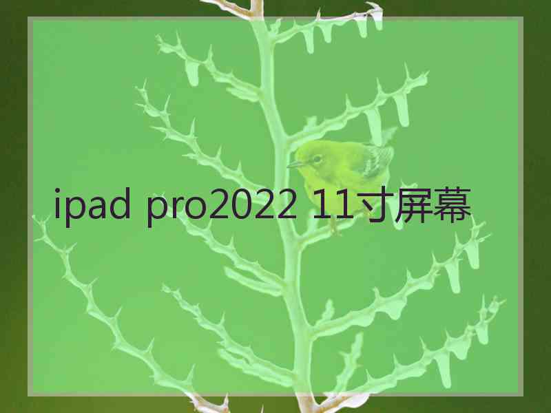 ipad pro2022 11寸屏幕