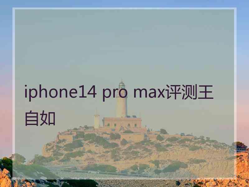 iphone14 pro max评测王自如