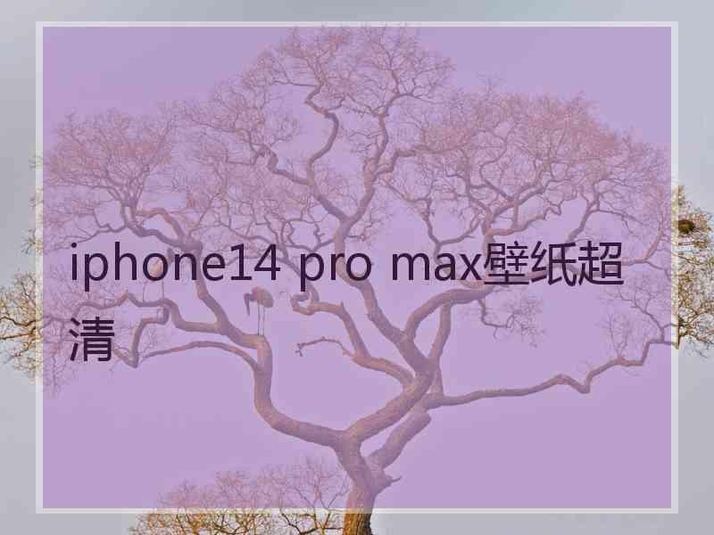 iphone14 pro max壁纸超清