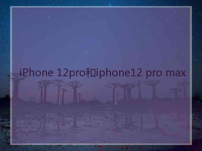 iPhone 12pro和iphone12 pro max