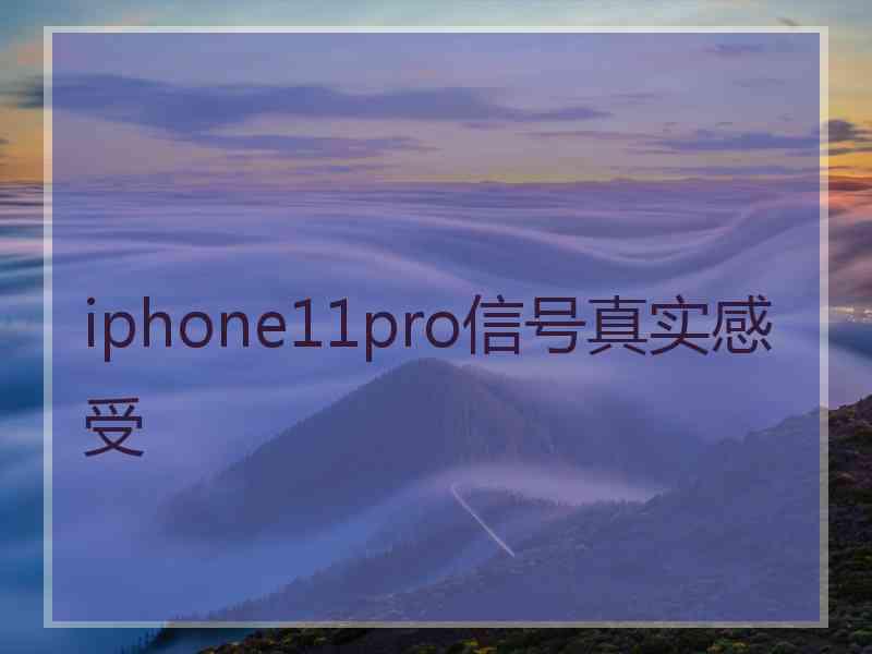 iphone11pro信号真实感受