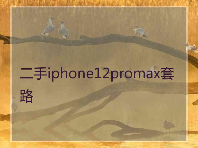 二手iphone12promax套路