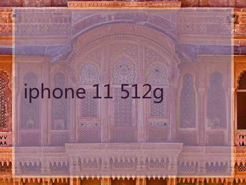 iphone 11 512g