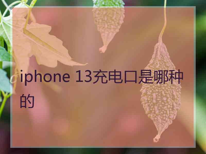 iphone 13充电口是哪种的