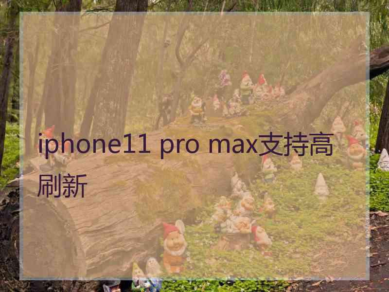 iphone11 pro max支持高刷新