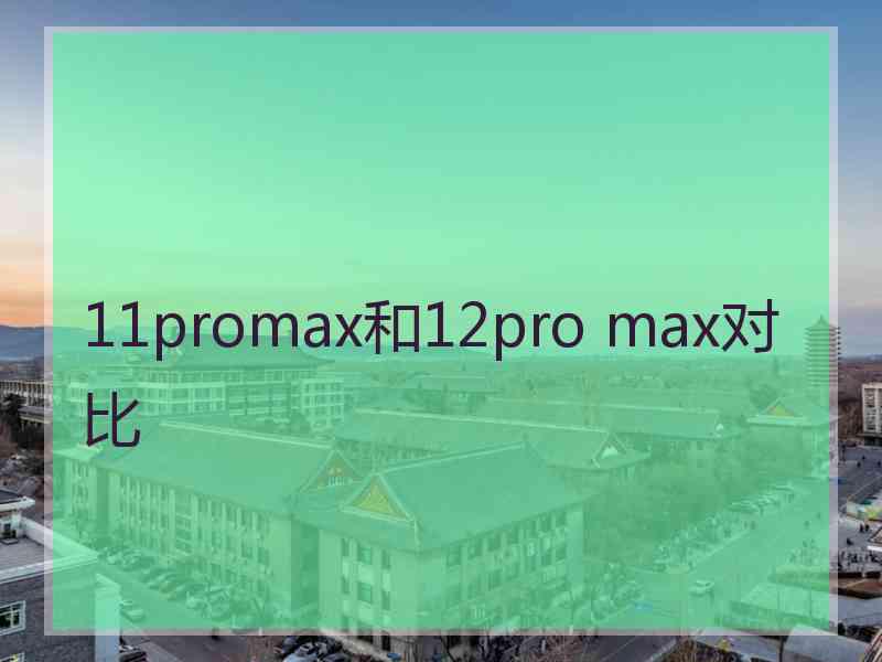 11promax和12pro max对比