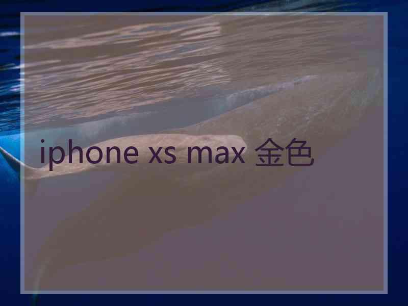 iphone xs max 金色