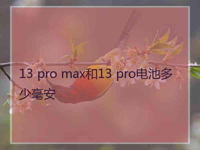 13 pro max和13 pro电池多少毫安