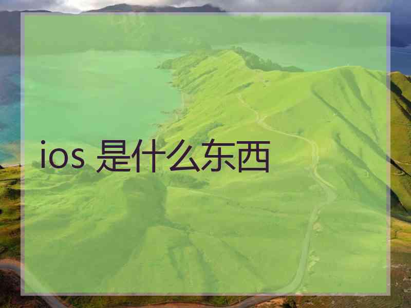 ios 是什么东西