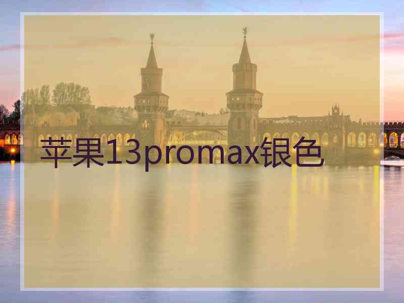 苹果13promax银色