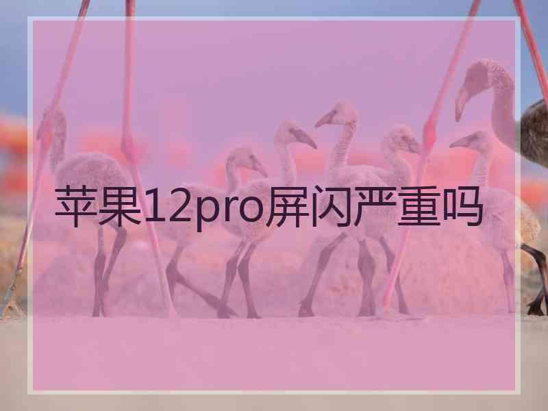 苹果12pro屏闪严重吗