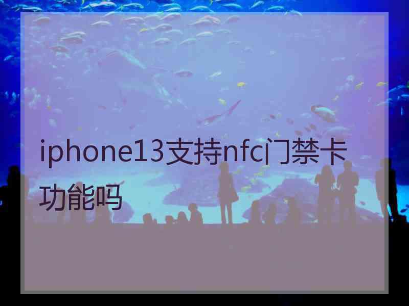 iphone13支持nfc门禁卡功能吗