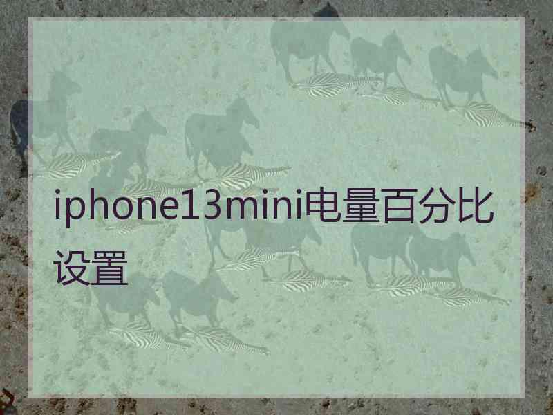 iphone13mini电量百分比设置