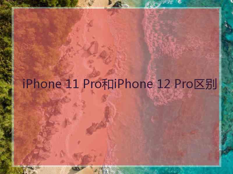 iPhone 11 Pro和iPhone 12 Pro区别