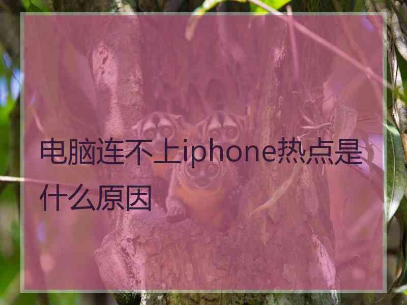 电脑连不上iphone热点是什么原因