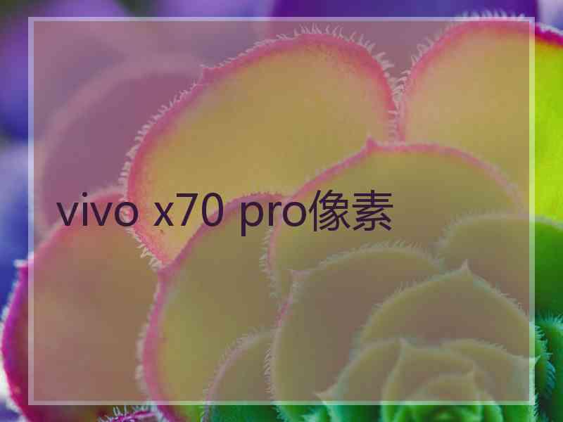 vivo x70 pro像素