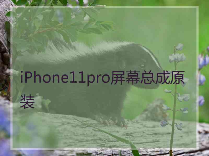 iPhone11pro屏幕总成原装