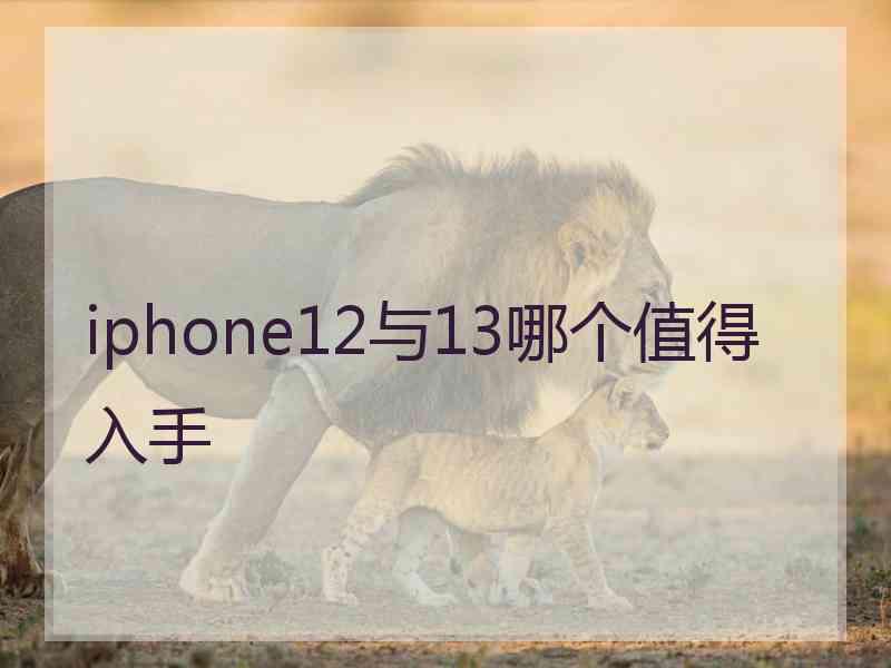 iphone12与13哪个值得入手