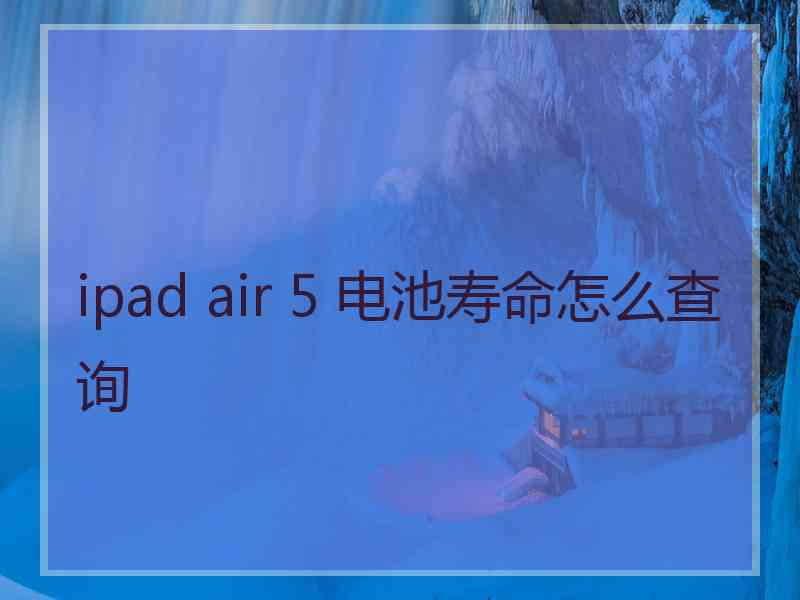 ipad air 5 电池寿命怎么查询