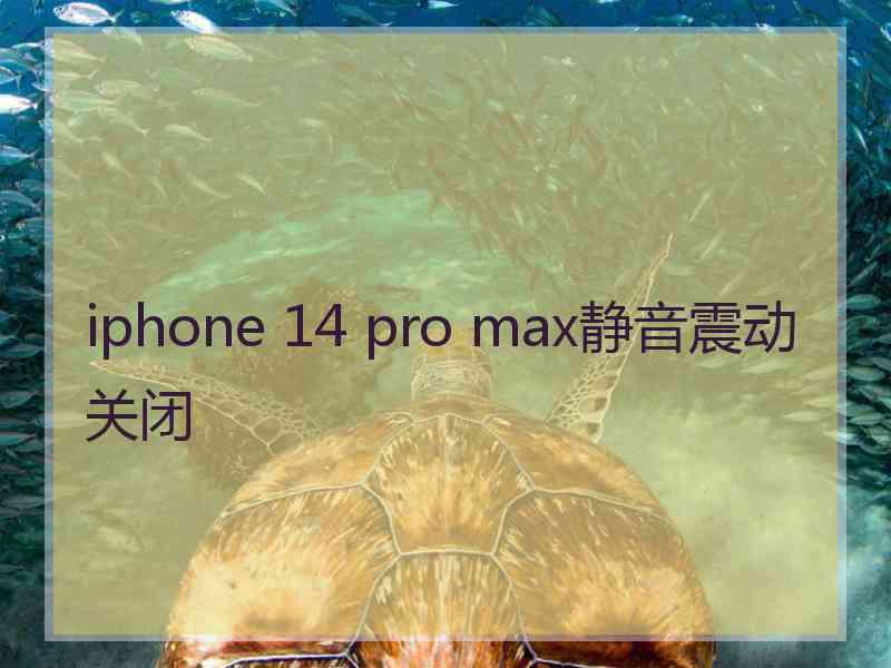 iphone 14 pro max静音震动关闭