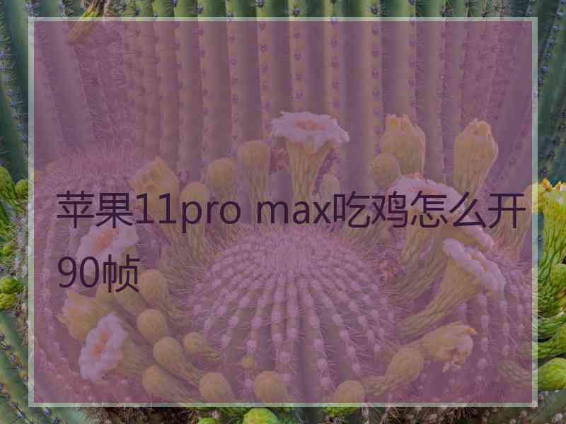 苹果11pro max吃鸡怎么开90帧