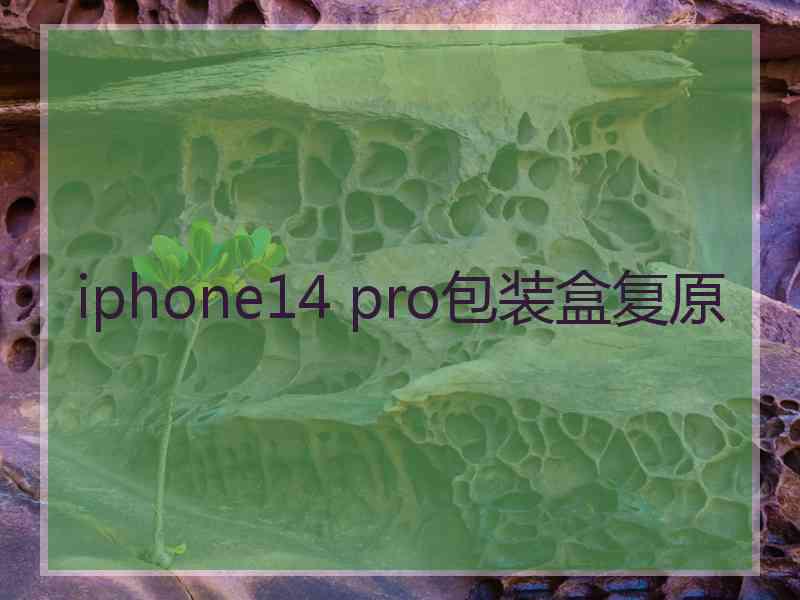 iphone14 pro包装盒复原